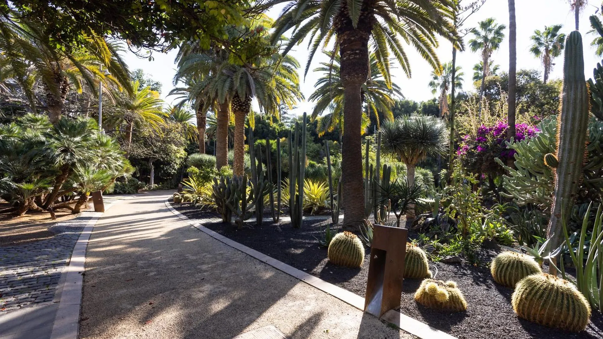 Apartamento Home2Book Chic & Bright Apt Residencial Anaga Santa Cruz de Tenerife España